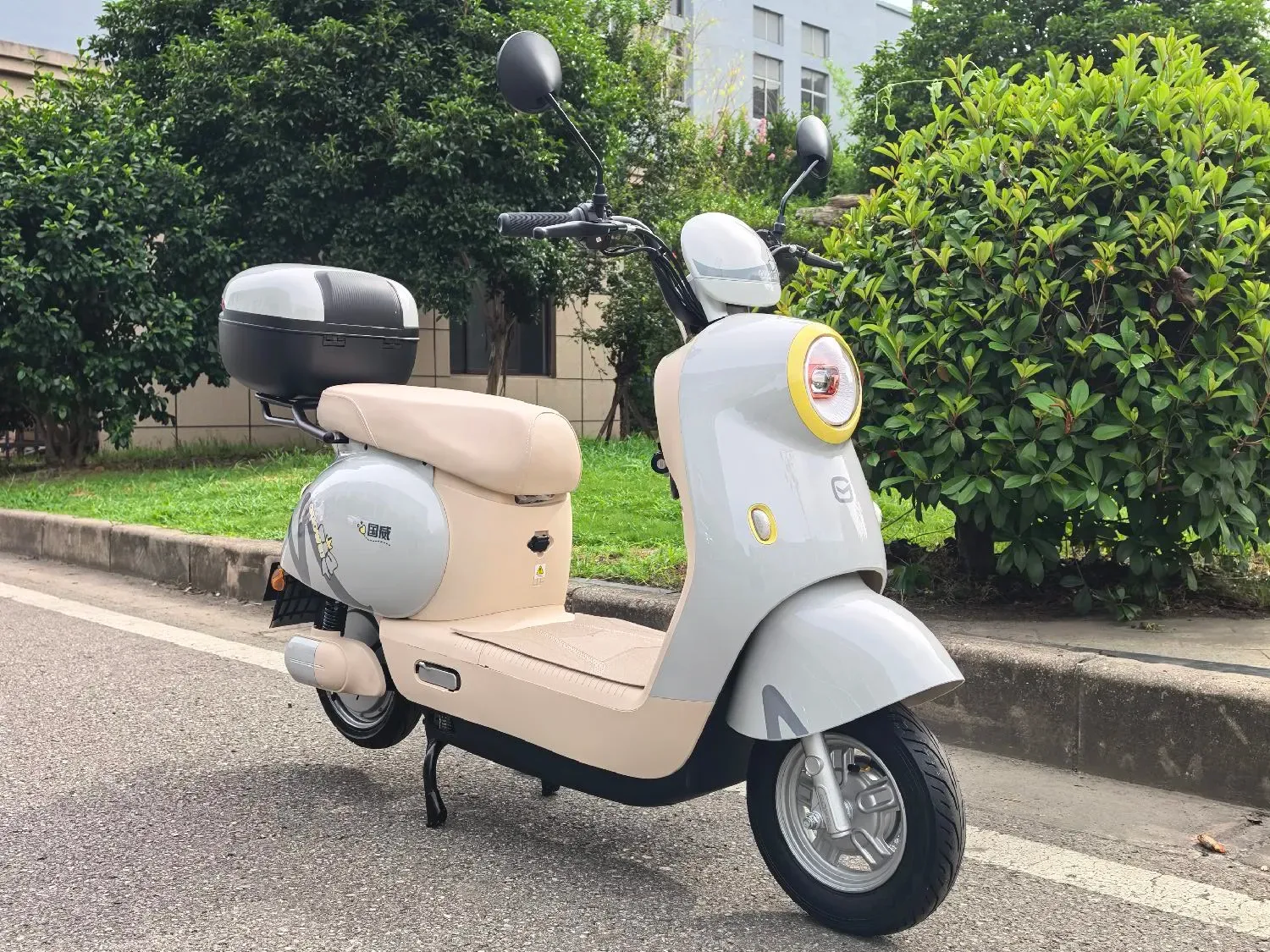 GOWEI YUEDOU II electric two-wheeler product view